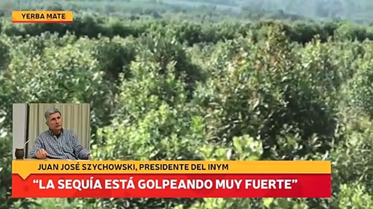 “La sequía está golpeando muy fuerte”