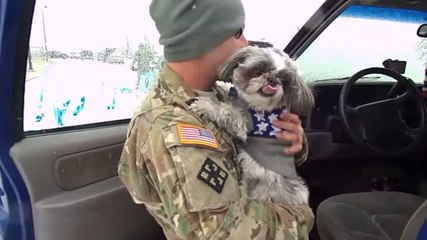 Diese Hündin hat ihr Herrchen, einen Soldaten, seit Monaten nicht mehr gesehen. Ihr Wiedersehen wird Sie berühren.