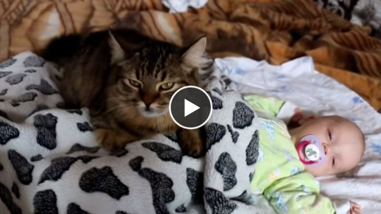 Diese Katze kümmert sich um dieses Baby, als wäre es ein Kätzchen. Sehen Sie sich nur an, wie sie sich darum kümmert!