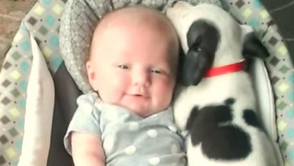 Dieser junge Welpe trifft das Neugeborene der Familie. Ein sehr bewegender Moment