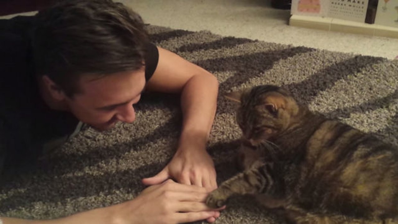 Diese Katze liebt es zu gewinnen. Um ihren Sieg zu feiern, hat sie jedoch etwas Verrücktes getan.