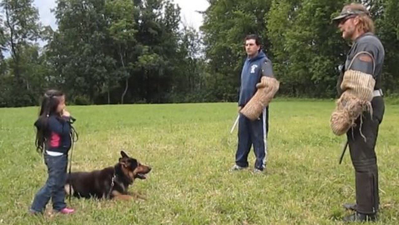 Dieser Hund liebt sein junges Frauchen. Er tut alles, um sie zu beschützen.