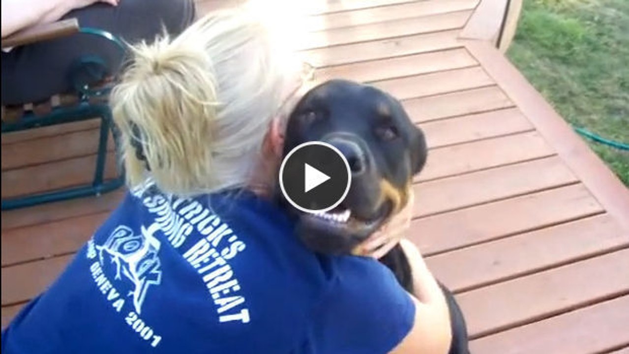 Dieser Hund macht merkwürdige Geräusche, wenn er geknuddelt wird. Sehen beziehungsweise hören Sie sich das an!