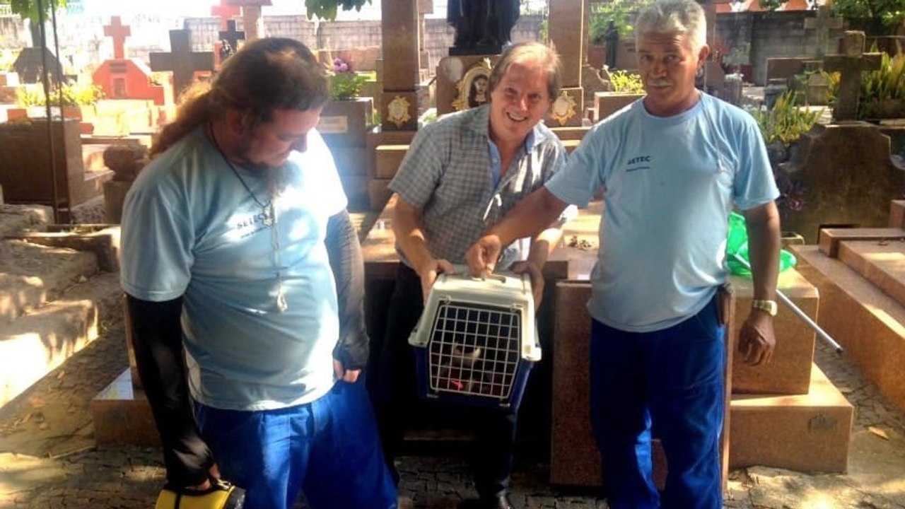 Dieses Grab war jahrelang versiegelt, bis man eines Tages etwas Ungewöhnliches hörte