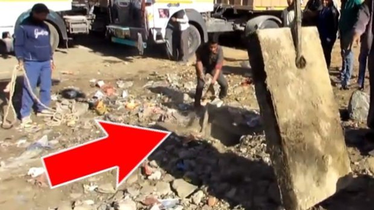 Sie haben ein Geräusch unter diesem Brett gehört. Aber sie waren nicht darauf vorbereitet, auf dies hier zu stoßen.