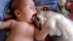 Dieses Kätzchen trifft zum ersten Mal dieses Baby. Die Reaktion der Katze ist sehr berührend.