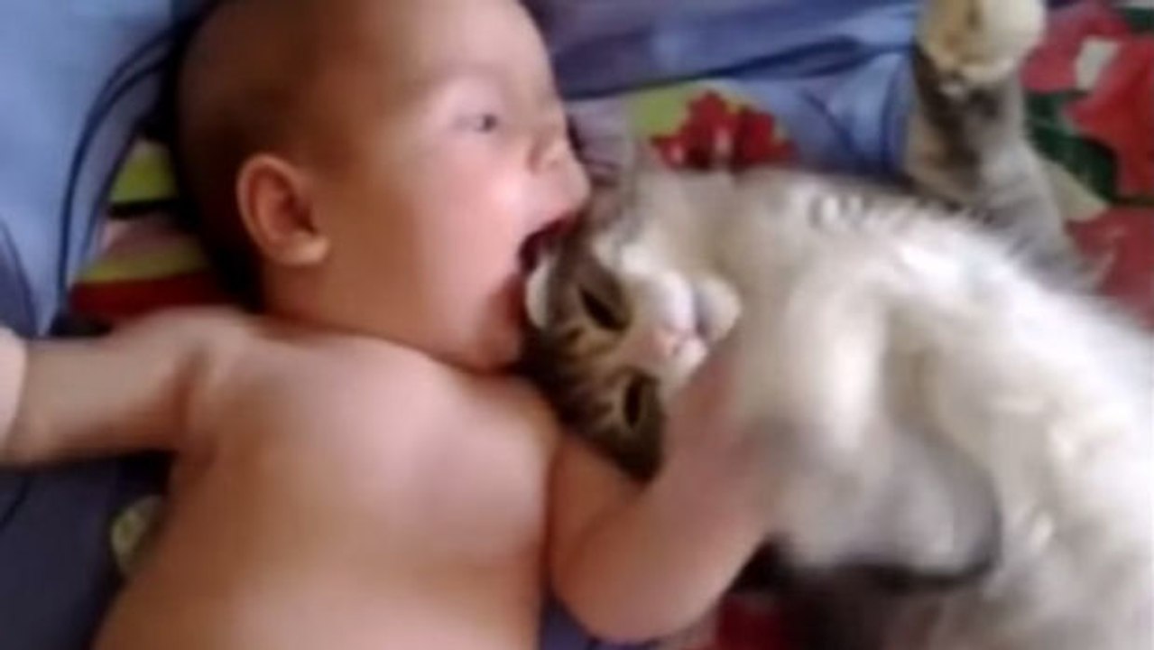 Dieses Kätzchen trifft zum ersten Mal dieses Baby. Die Reaktion der Katze ist sehr berührend.