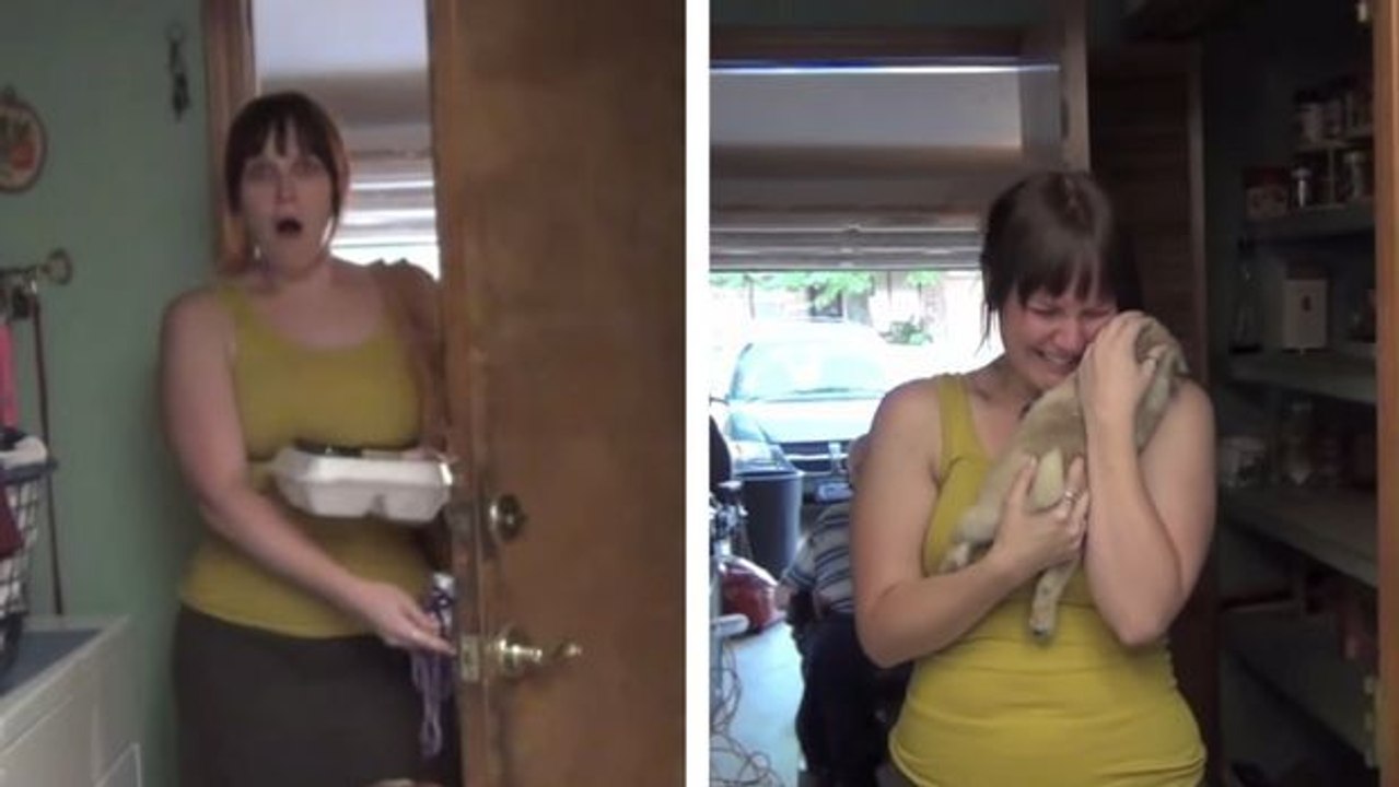 Diese Frau hat gerade ihren Hund verloren. Um sie zu trösten, macht ihr ihr Freund ein tolles Geschenk.