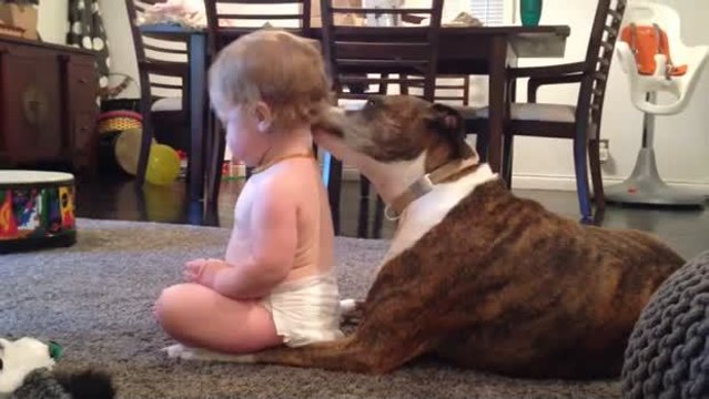 Dieses kleine Mädchen hat eine besondere Beziehung zu diesem Hund. Sie werden erstaunt sein.