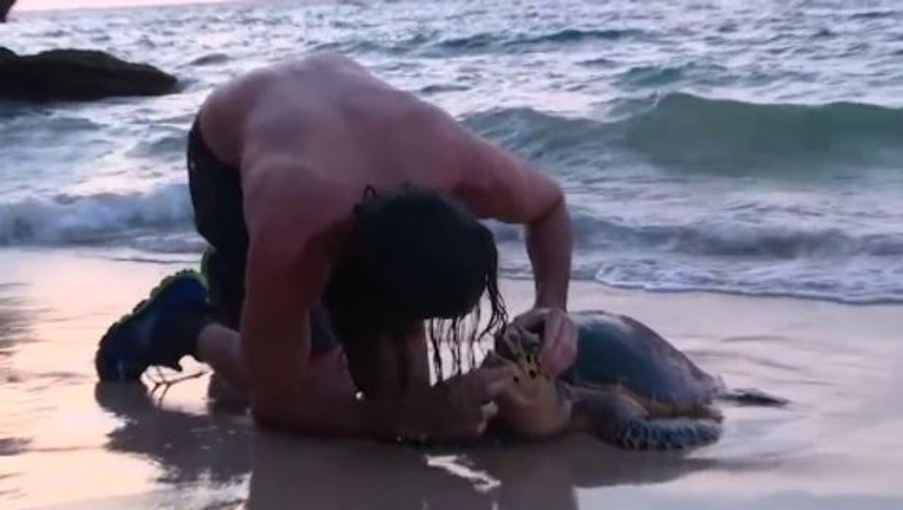 The Island: ein Kandidat rettet eine Schildkröte... durch Mund-zu-Mund-Beatmung!