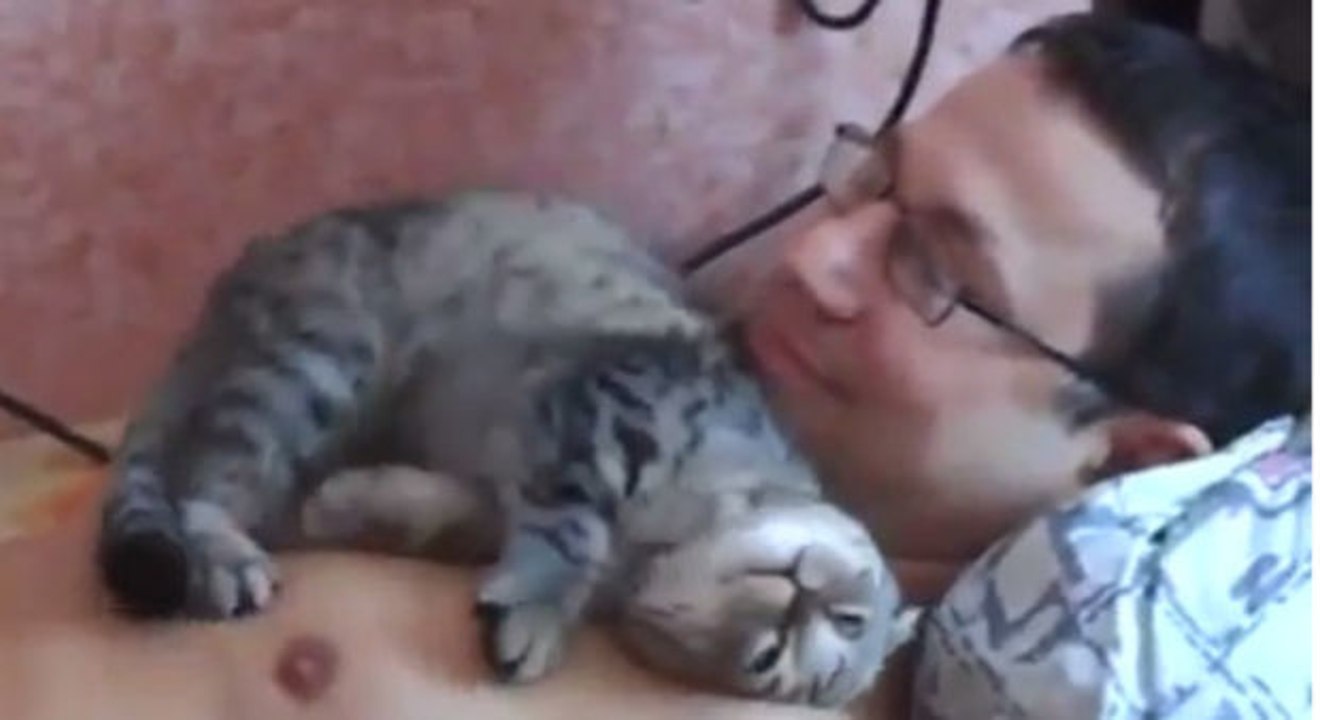Diese katze ist voller liebe für ihr herrchen. dabei wird einem warm um's herz.