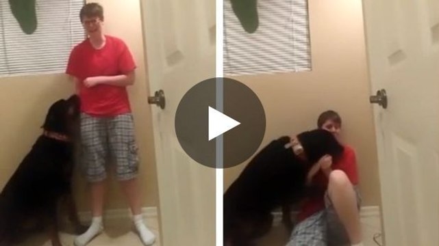 Dieser Hund beruhigt sein Frauchen, das am Asperger-Syndrom leidet.