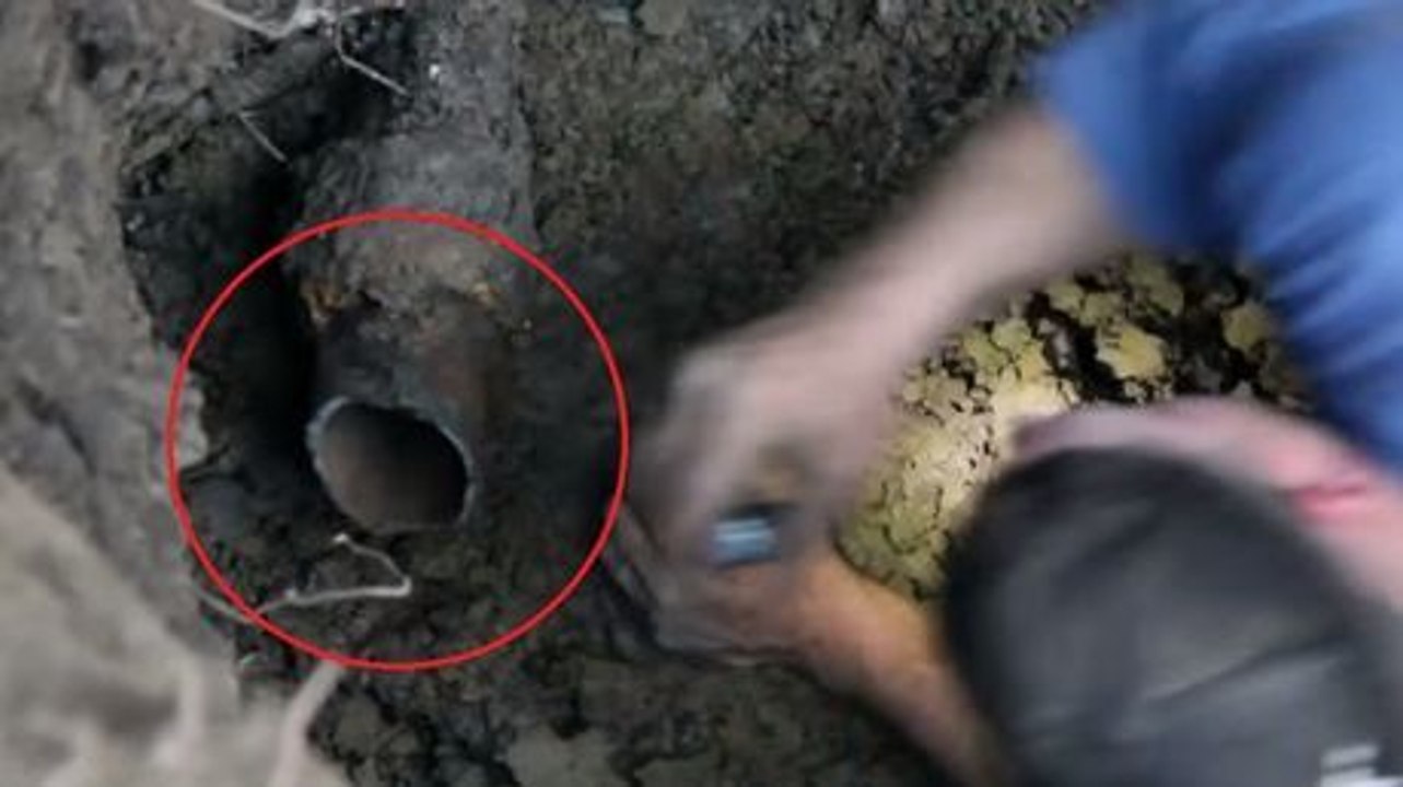 Männer retten einen in einem Abflussrohr gefangenen Welpen.