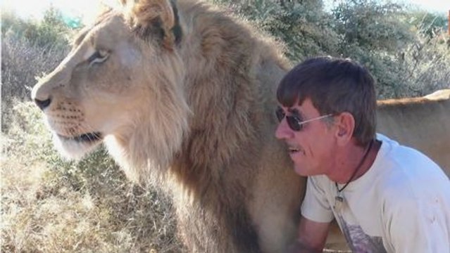 Seit 11 Jahren sind dieser Löwe und dieser Mann die besten Freunde der Welt. Sie sind süß.