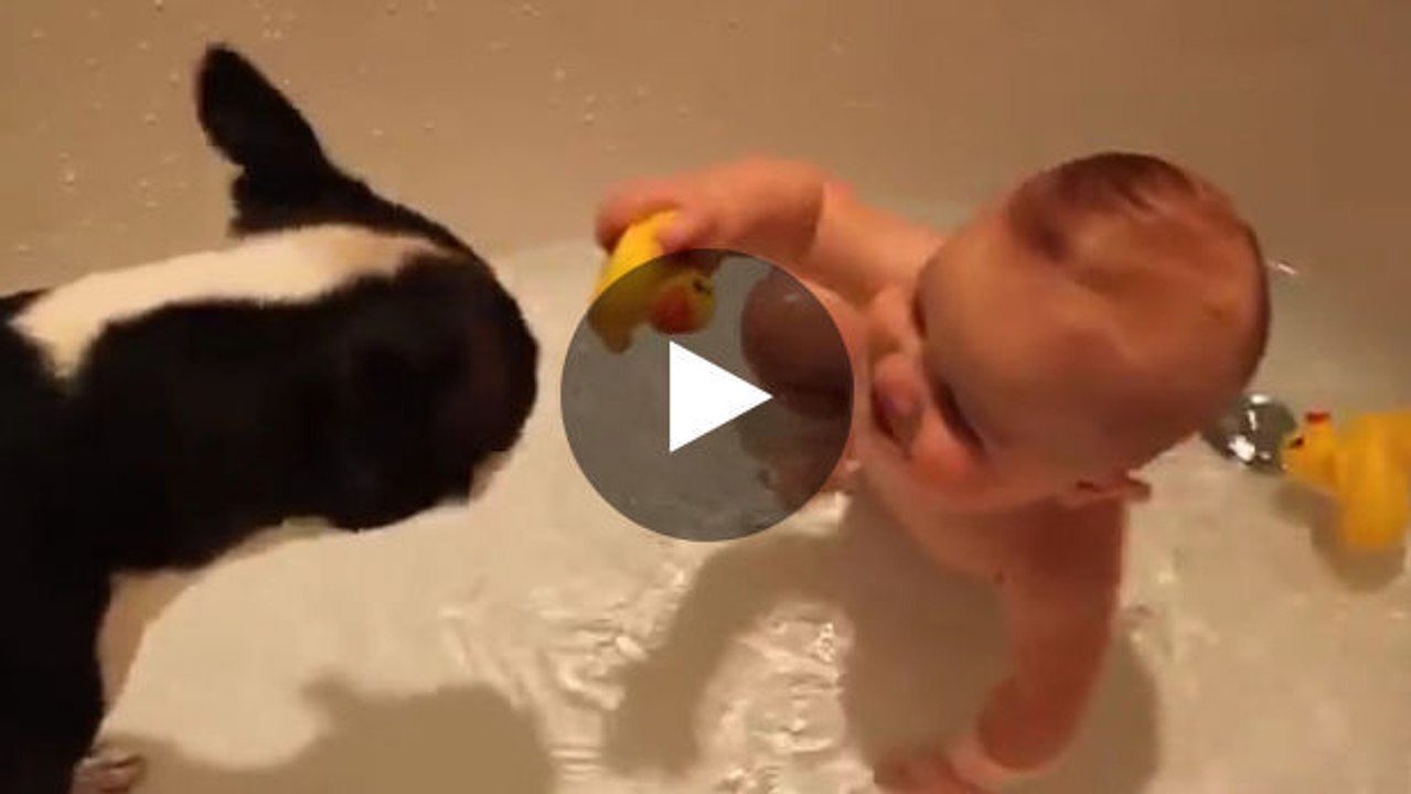 Dieser Hund liebt es, mit dem Baby zu baden.