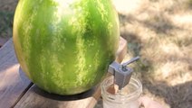 Wie Sie aus einer Melone eine Zapfanlage herstellen.