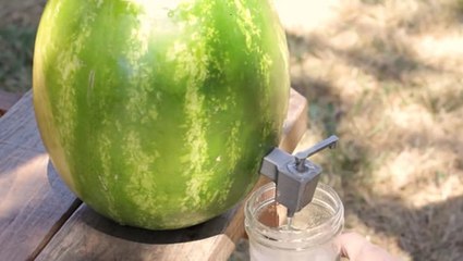 Wie Sie aus einer Melone eine Zapfanlage herstellen.