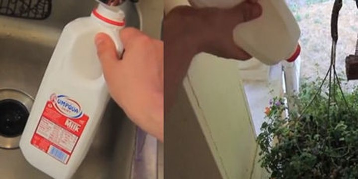Schauen Sie, wie Sie eine Gießkanne in einigen Minuten herstellen können.