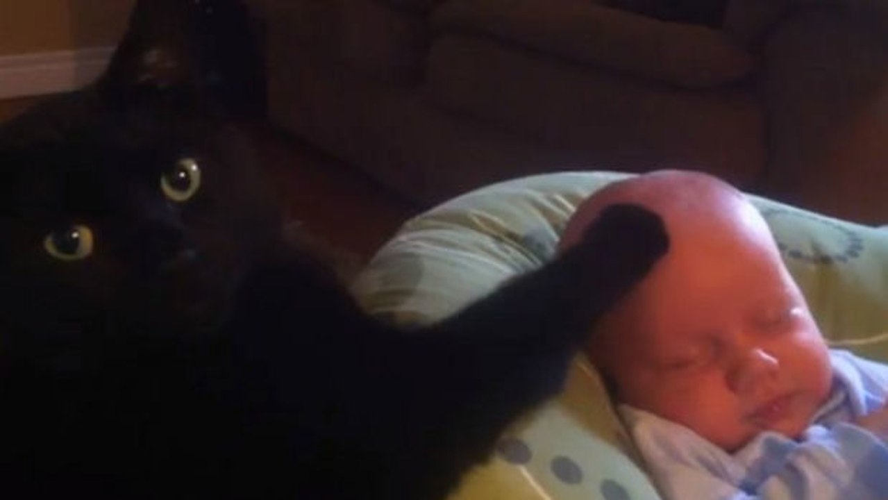 Katze beruhigt weinendes baby.
