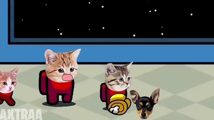 (Mini Crew Baby Cats) Among Us distraction dance animation