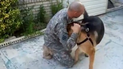 Dieser Hund erlebt beim Ballspielen eine tolle Überraschung.