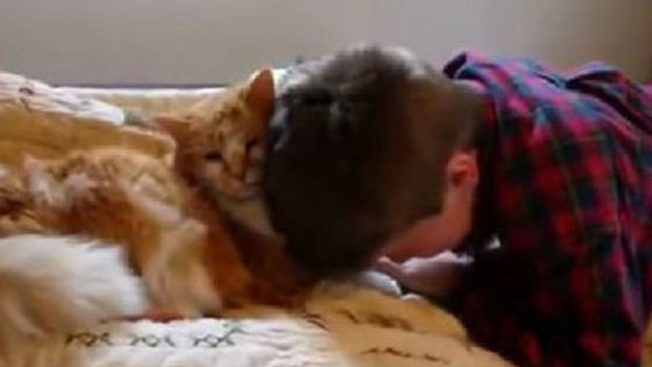 Dieser Junge findet seine Katze nach mehreren Tagen wieder. Seine Reaktion ist berührend.