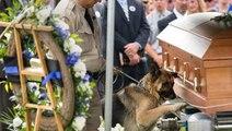 Ein Polizeihund nimmt Abschied von seinem ehemaligen Partner. Eine sehr bewegende Zeremonie.