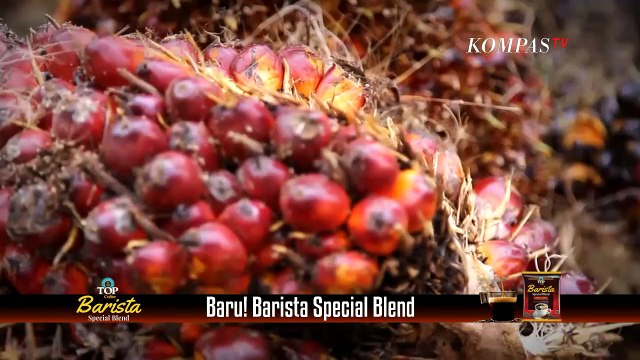 Mendag Lutfi Ancam Copot Izin Ekspor Jika Produsen Minyak Goreng Tak Penuhi Kebutuhan Domestik!