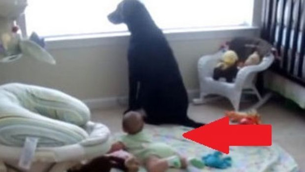 Als diese Mutter den Hund bellen hört, denkt sie zuerst, dass irgendwas passiert sei. Doch das hat sie nun wirklich nicht erwartet!