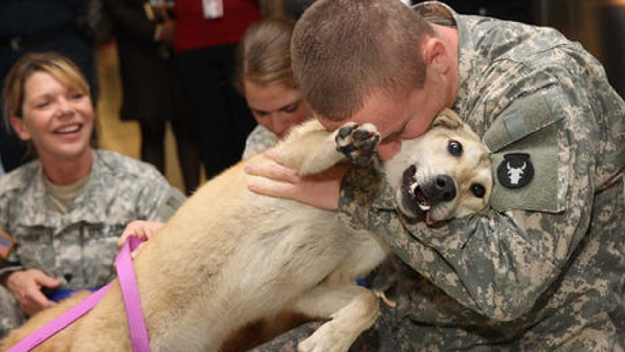 Ein Hund begrüßt sein Herrchen nach mehrmonatiger Abwesenheit.