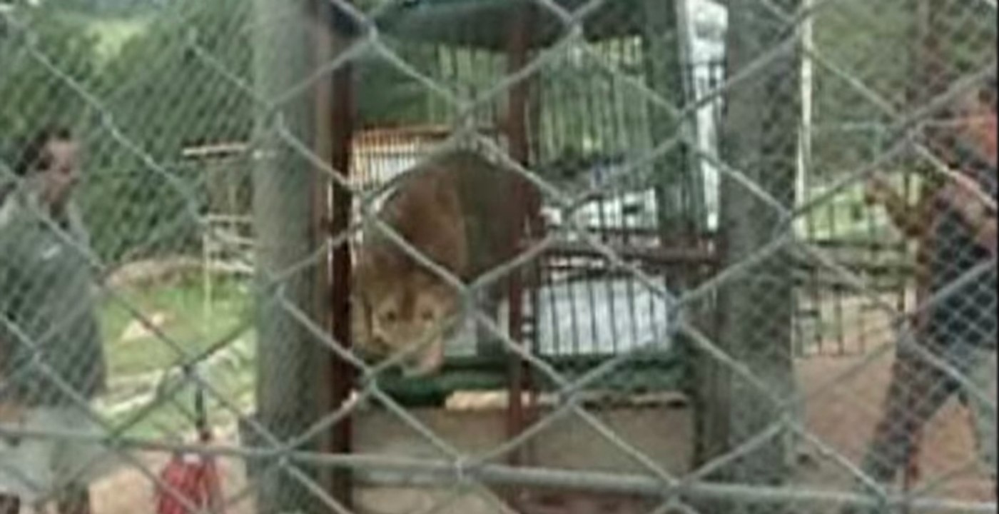 13 Jahre im Käfig: Jetzt betritt er zum ersten Mal die Freiheit