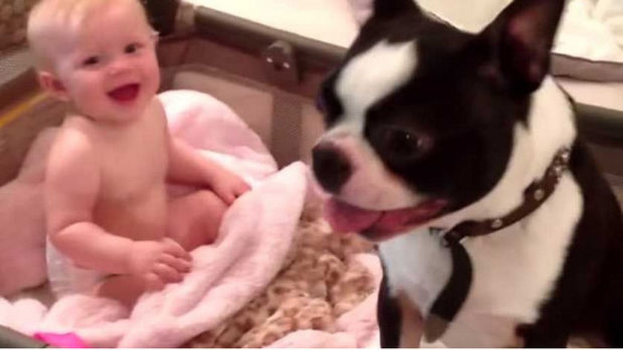 Dieser Hund hat eine sehr besondere Beziehung zu dem Baby.