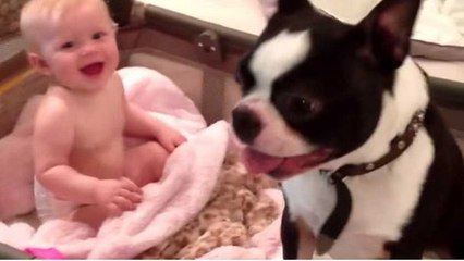 Dieser Hund hat eine sehr besondere Beziehung zu dem Baby.