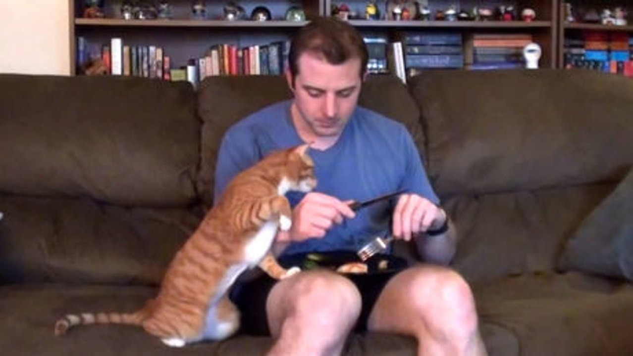 Wenn man essen will und die Katze in der Nähe ist.