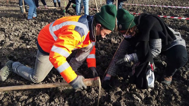 Actus : « Trees everywhere », 27000 arbres à Gravelines - 01 Février 2022