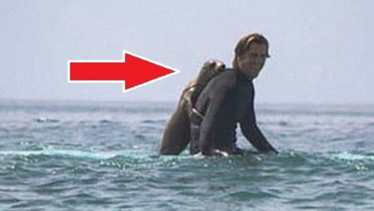 Diese Surfer haben einen komischen Freund gefunden, als sie im Meer Spaß hatten.