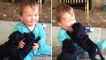 Zwei schwarze Welpen amüsieren sich wie verrückt mit diesem Baby.