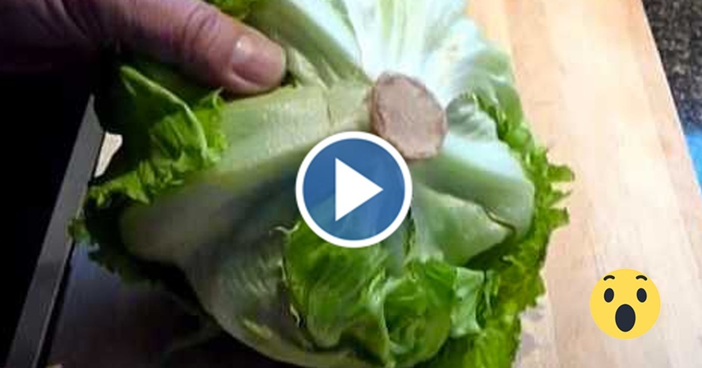 Salatherz ohne Messer entfernen: So einfach geht es!