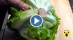 Salatherz ohne Messer entfernen: So einfach geht es!