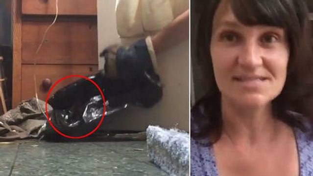 Sie denkt, dass sich ein wildes Tier bei ihr versteckt. Jedoch was sie entdeckt, ist niedlich.