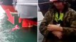 Eine im Ruder eines Bootes eingeklemmte Katze wird durch die wunderbare Geste eines Matrosen gerettet.