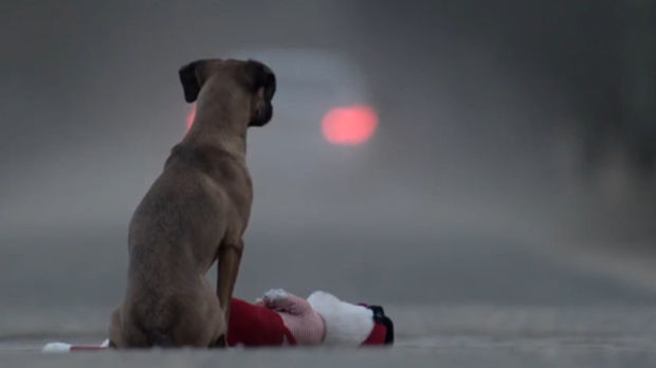 Wenn ein Kind „wie ein Hund“ behandelt wird...