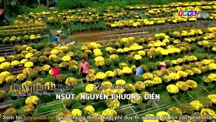 tình thắm duyên xuân tập 1 - THVL1 - phim tinh tham duyen xuan tap 2