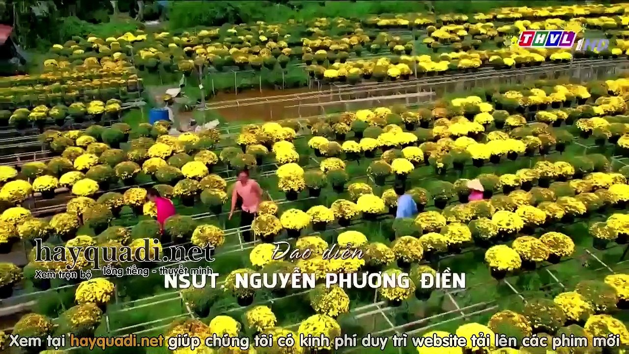 tình thắm duyên xuân tập 1 - THVL1 - phim tinh tham duyen xuan tap 2
