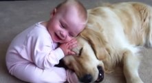 Dieses Baby spielt mit einem sehr geduldigen Hund. Sie werden dahinschmelzen!