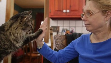 Sie ist taub und bringt ihren Katzen daher die Gebärdensprache bei, um sich mit ihnen zu unterhalten.