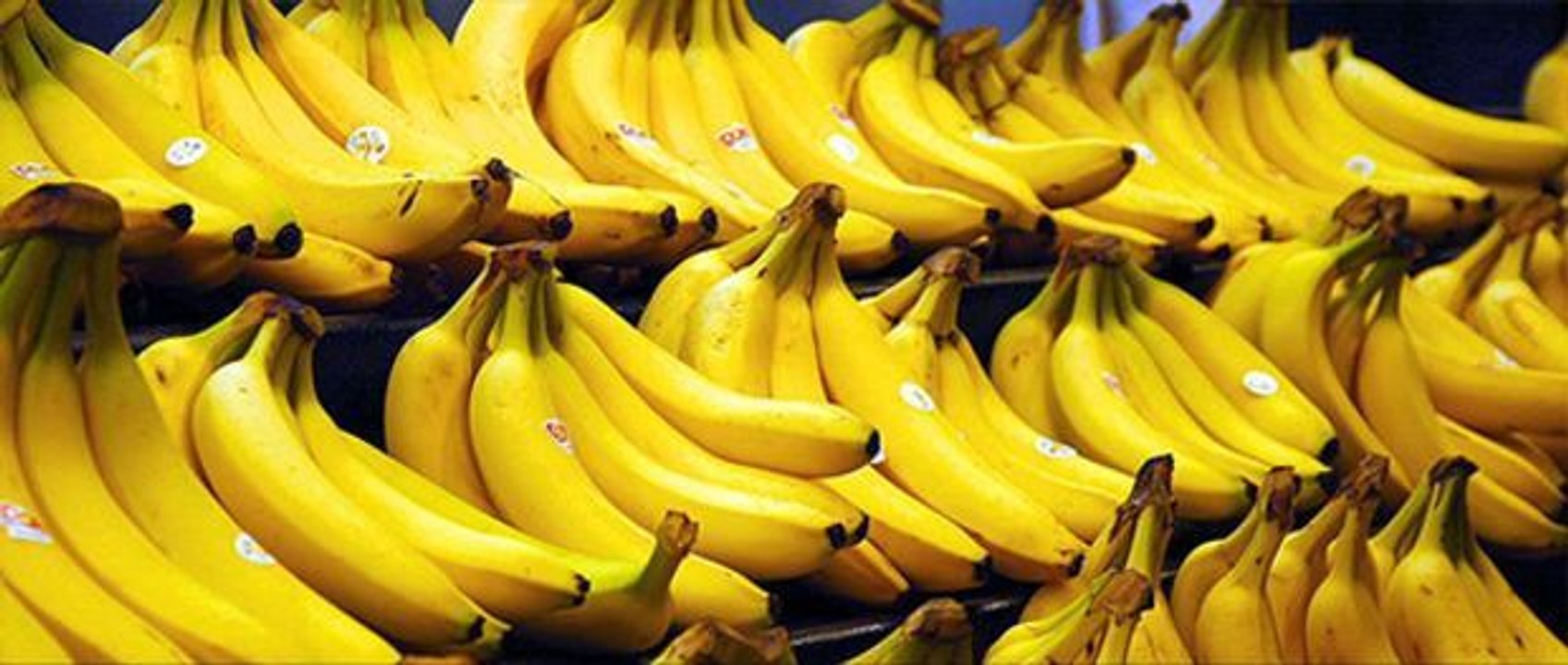 Ist die Banane vom Aussterben bedroht?
