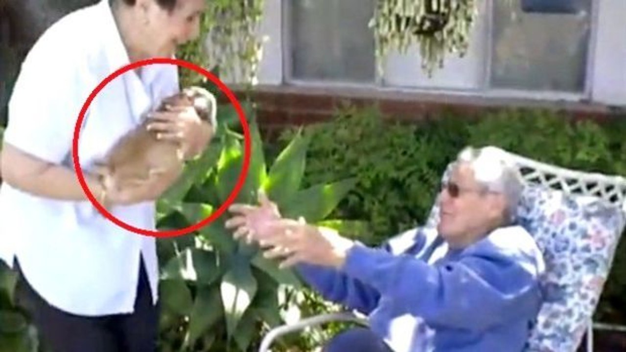 Diese Frau hat den Traum ihres Mannes erfüllt. Seine Reaktion ist herzerwärmend...