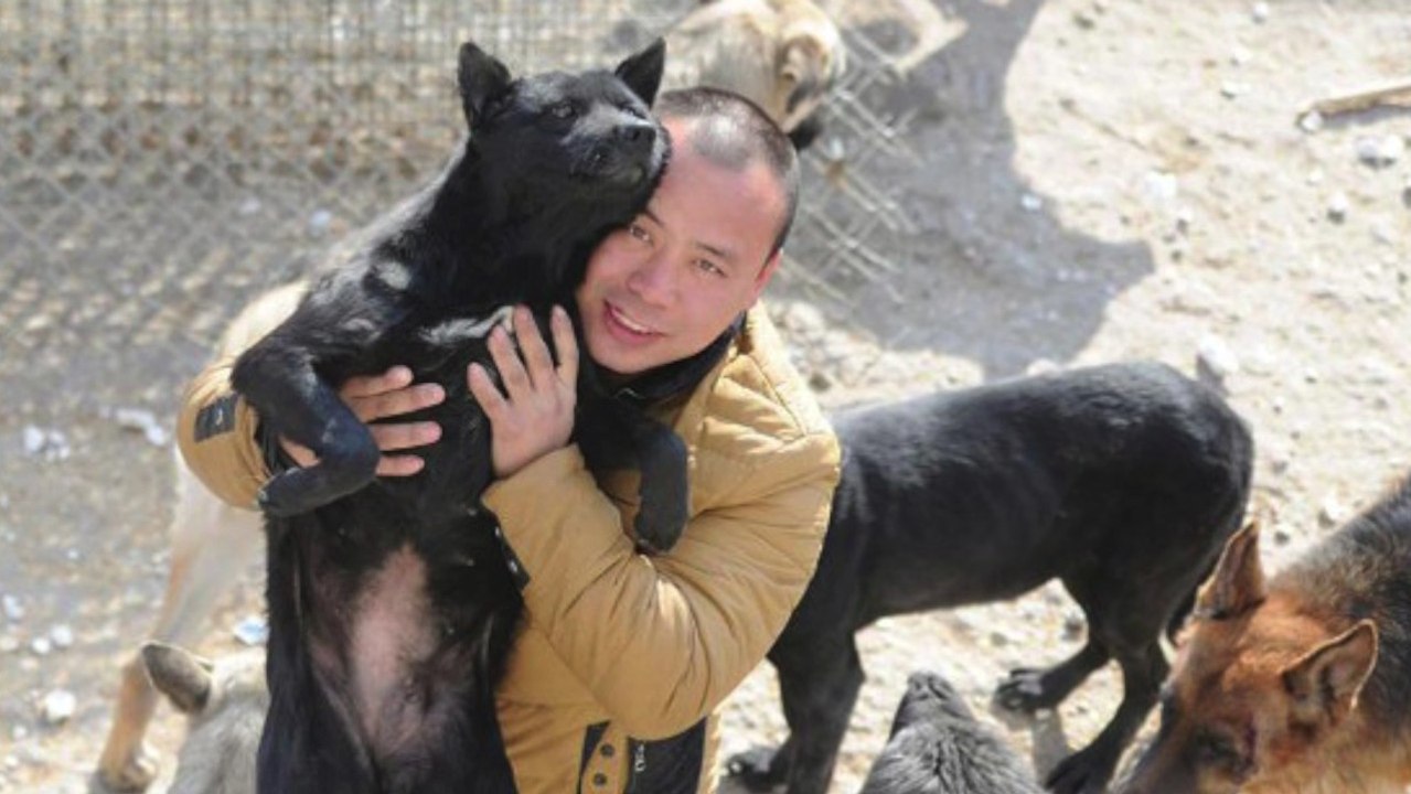 Warum sich dieser Millionär ruiniert, um Hunde zu retten.