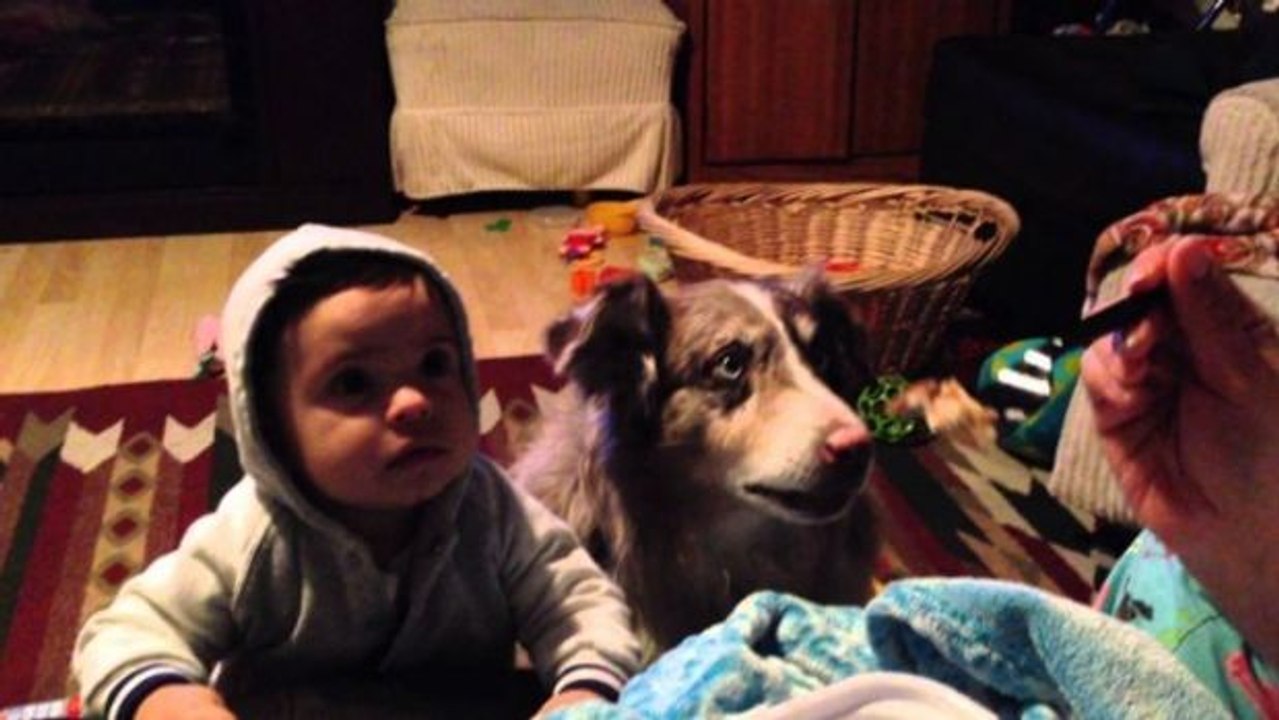 Das Baby soll 'Mama' sagen... Aber guckt euch den Hund an